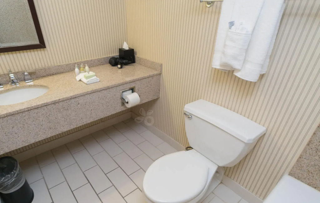 Holiday Inn Kansas City Se - Waterpark