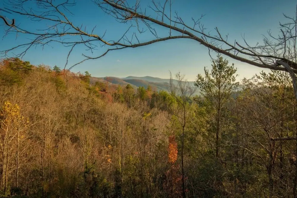 Dream Catcher- Blue Ridge Ga