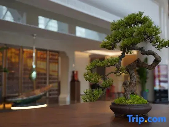 Excemon Xinjiang Yilite Hotel