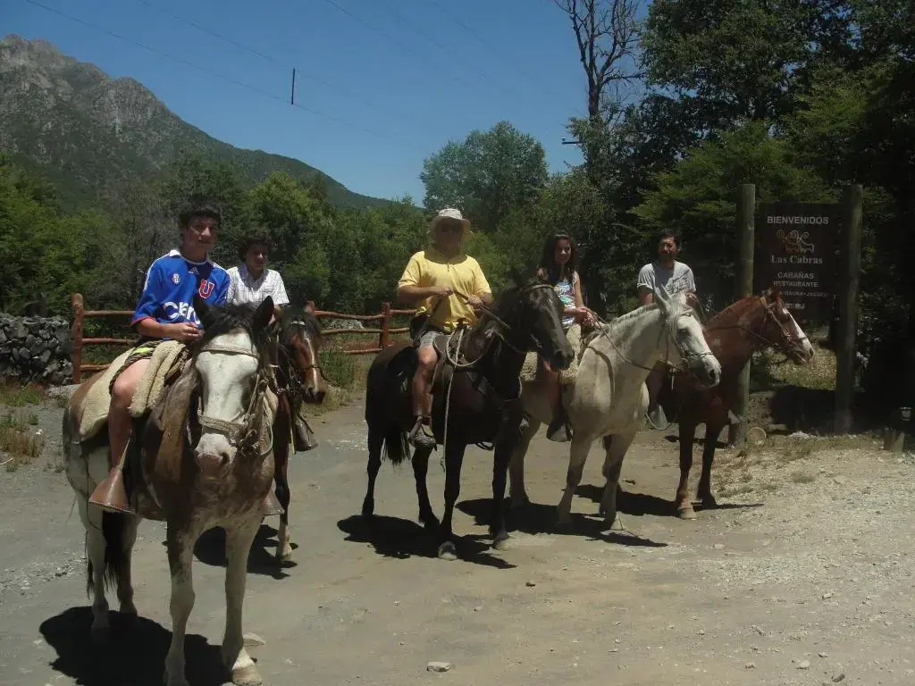 Cabañas Las Cabras