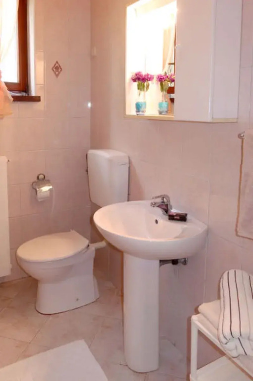 Mirjana (LBN312) 22664
