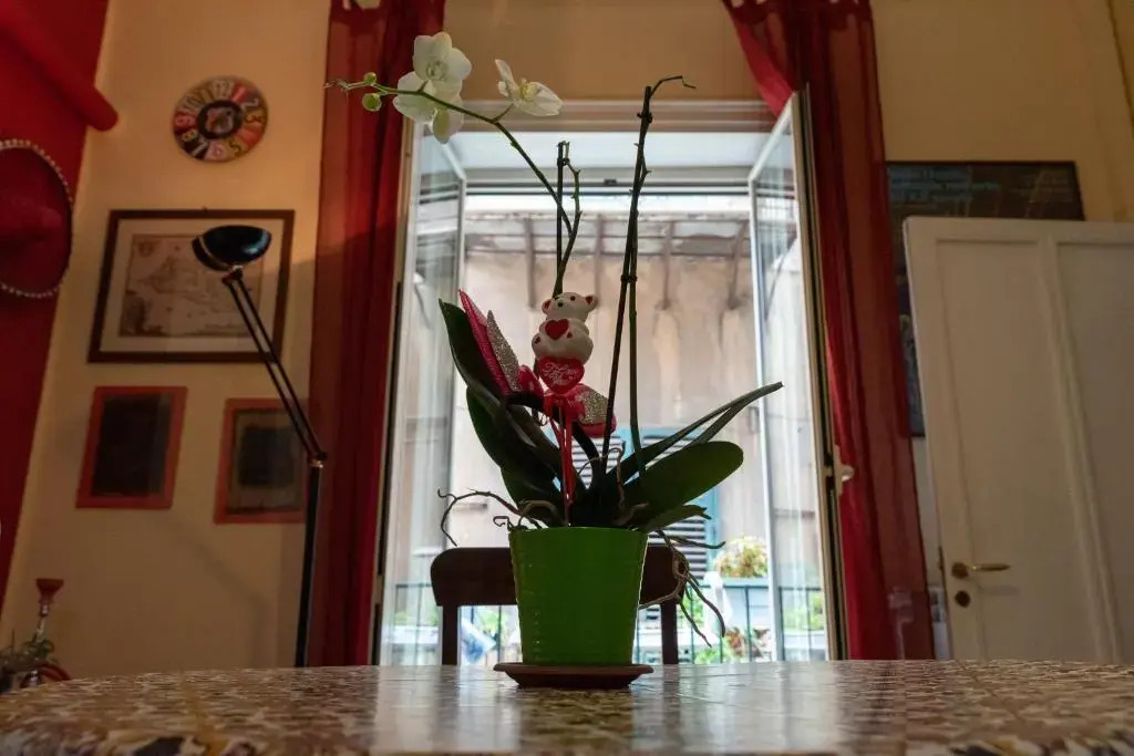 Nuovo Cortile Palermo Bed and Breakfast