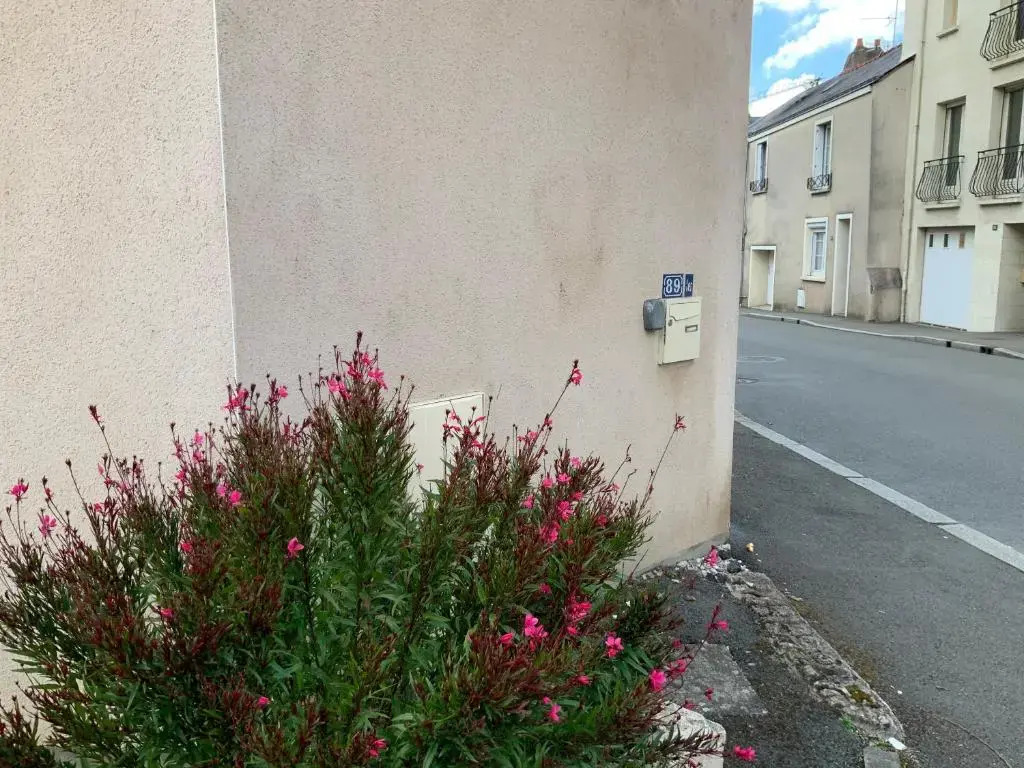 Maison Piscine Angers