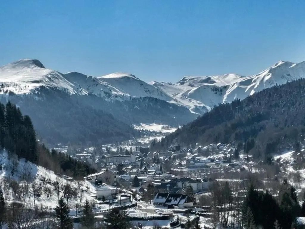 Appartement Mont-Dore, 2 pièces, 4 personnes - FR-1-415-110
