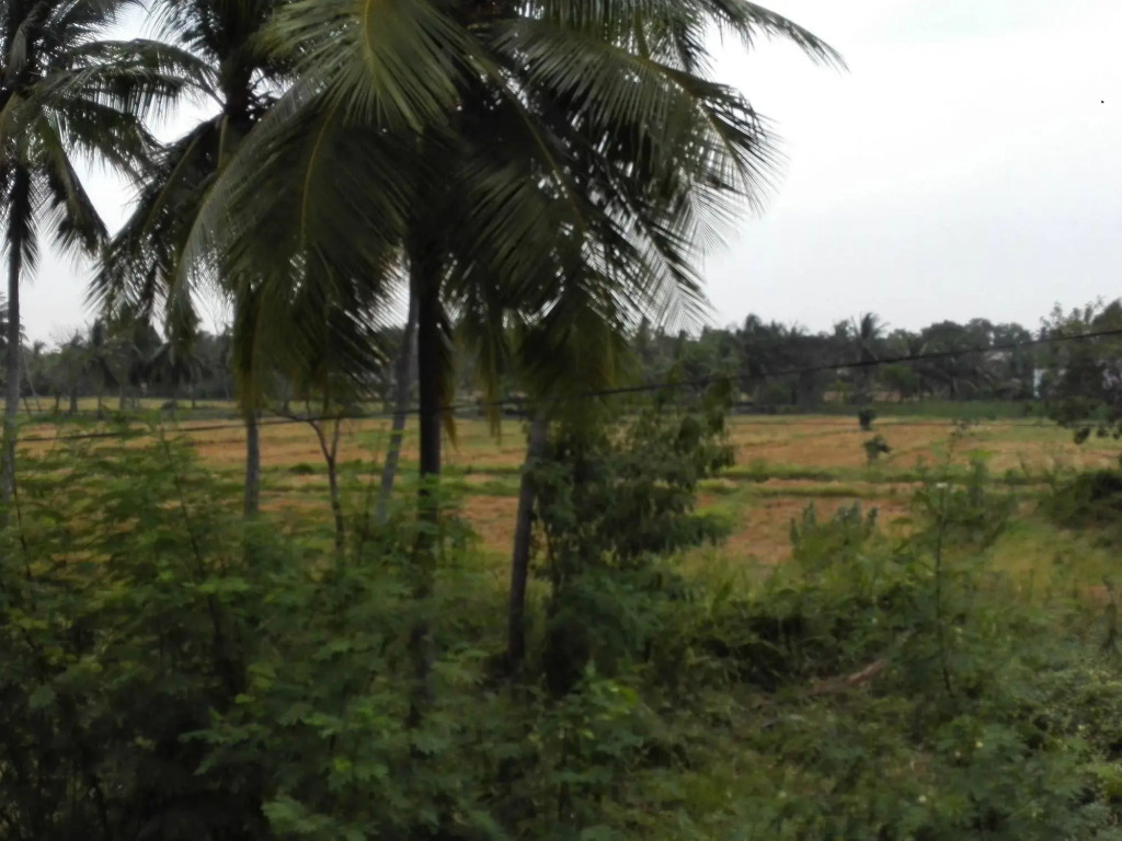 Salubrious Resort