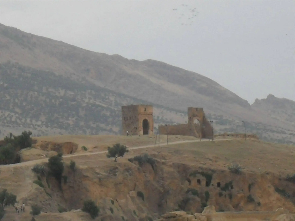 Riad Tayba