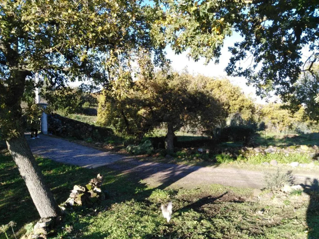 Casa Vacanza Su Montiju