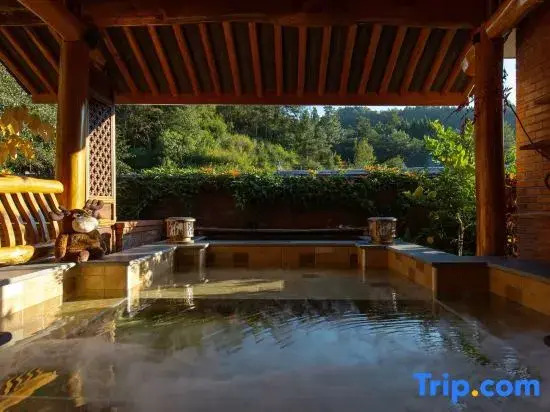 Hot Spring Forest Healing Art Homestay