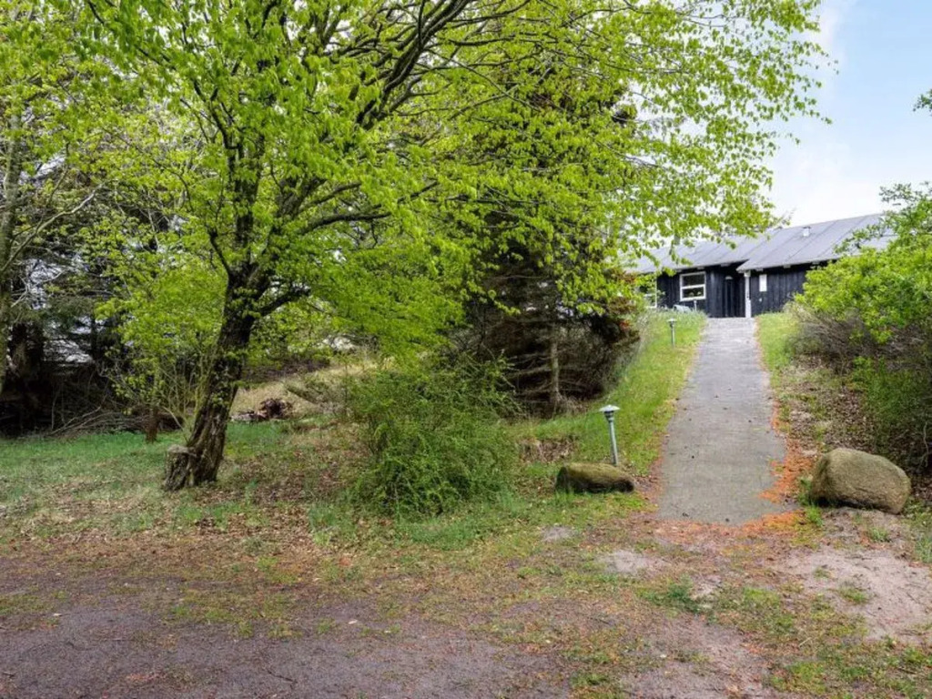 "Albero" - 850m from the sea in NW Jutland