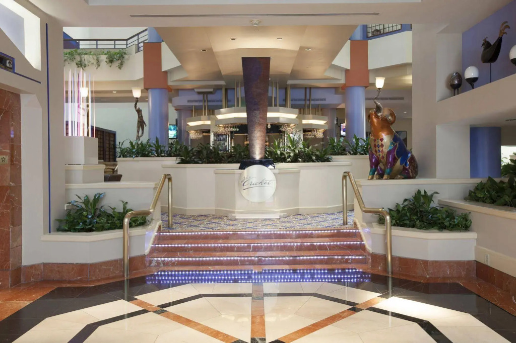 The Cincinnatian Curio Collection by Hilton