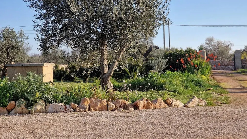 Tenuta Alle Macchie in Racale
