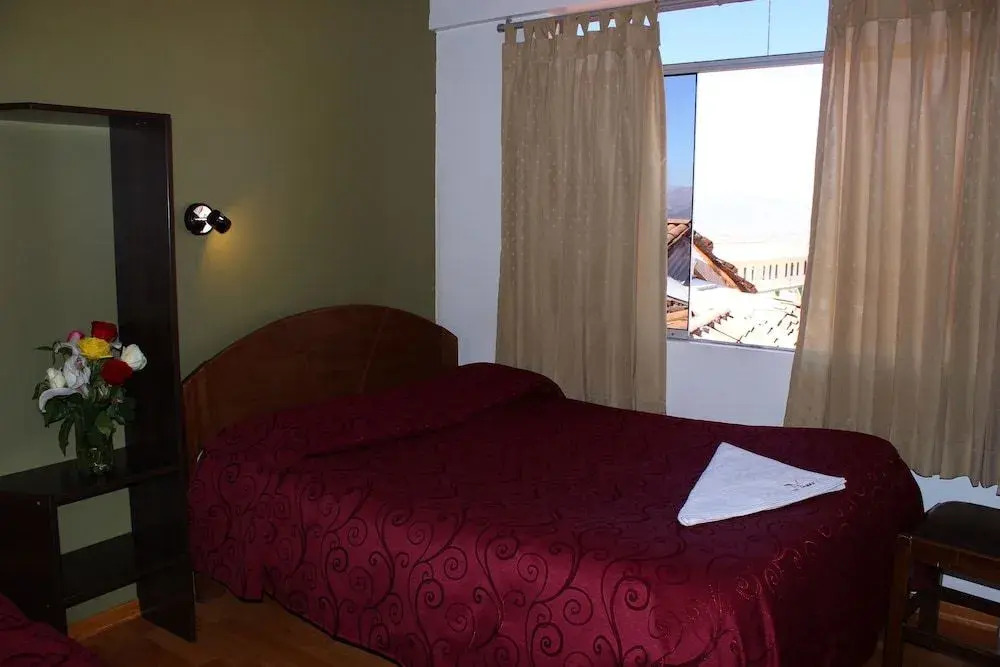 Apart y Hostal "El Puma"