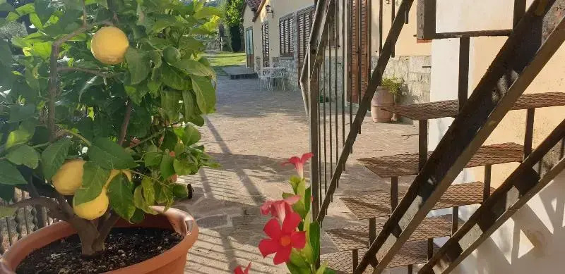B&B Il Mandorlo