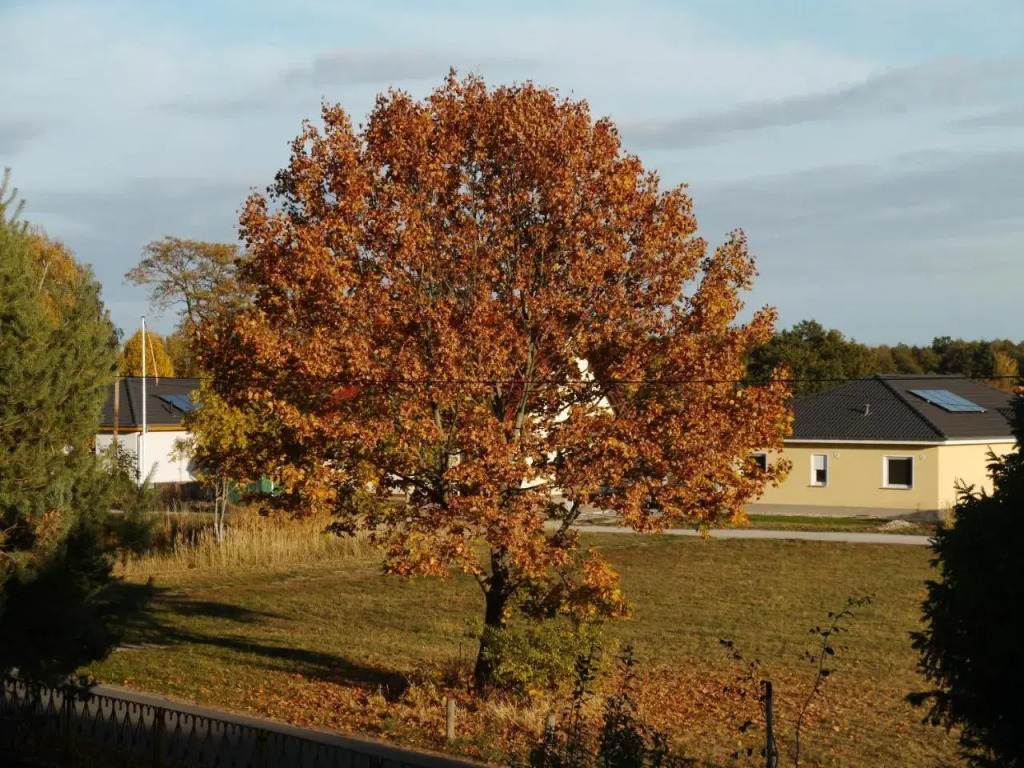 Ferienwohnung im Neubauernweg 3