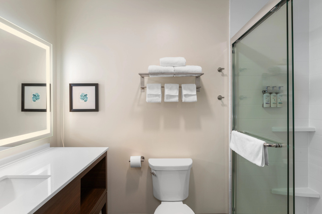 Holiday Inn & Suites Detroit - Troy by IHG