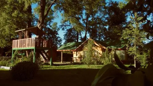 La Casa Del Árbol