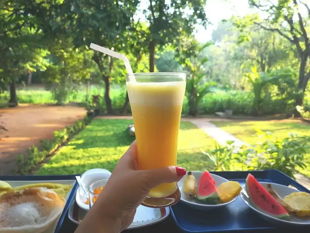 The Cattleya Guest House Sigiriya