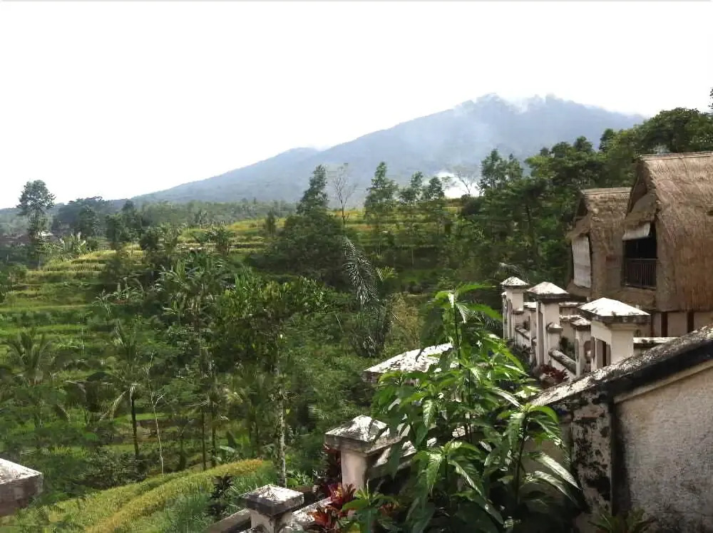 Soka Jatiluwih Villas