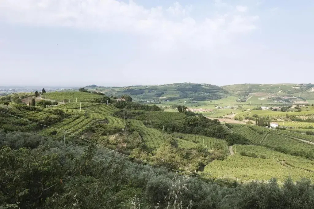 Corte dei Soavi