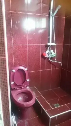 Guest House Tamuna Borjomi