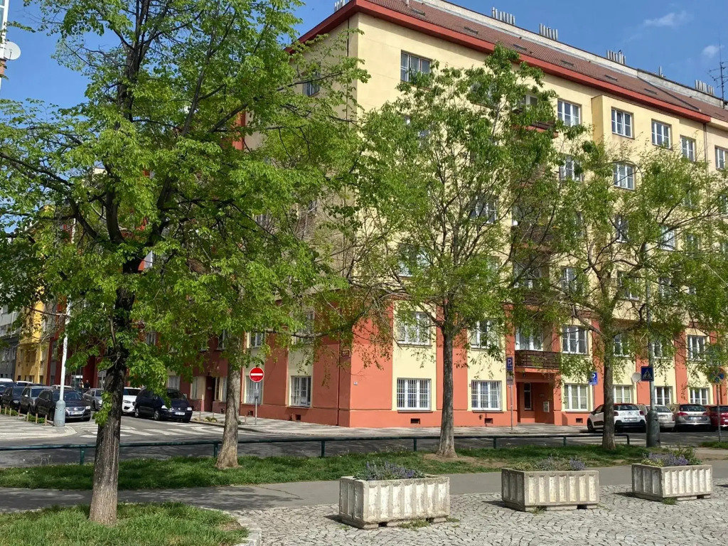 Tulip Apartment