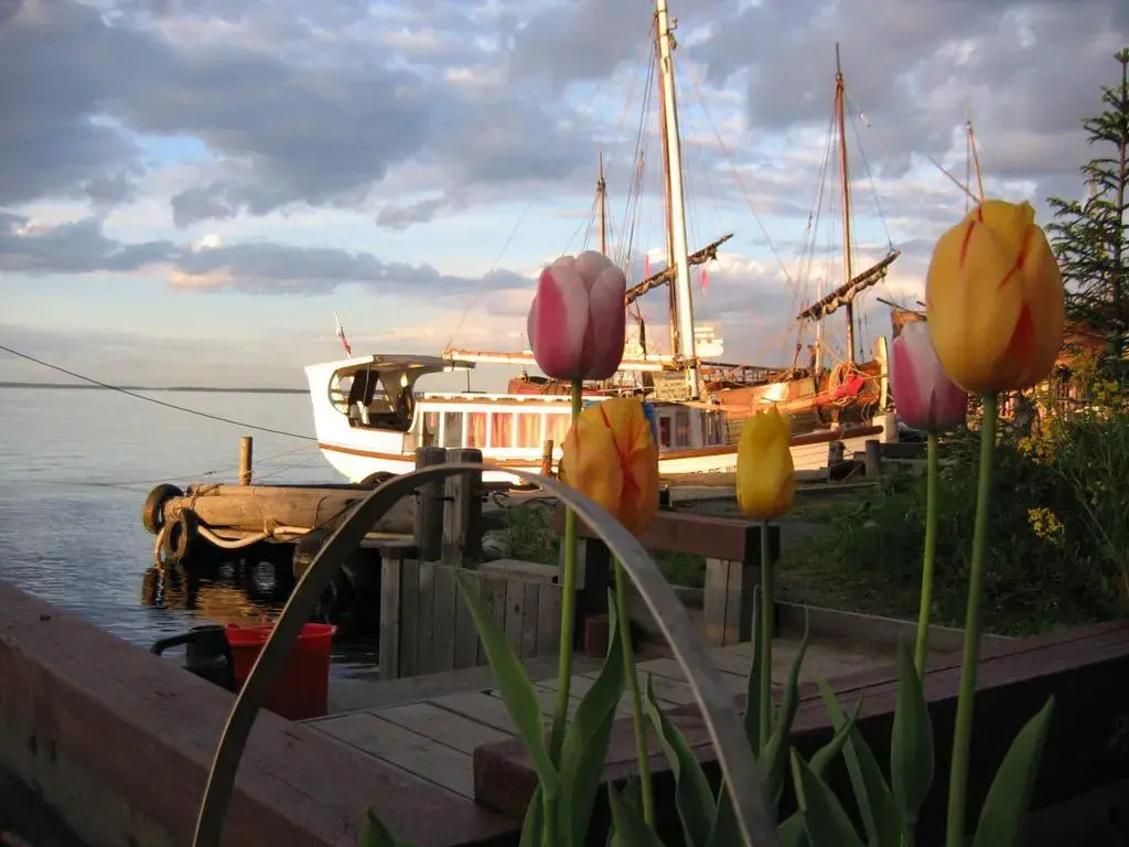 Guest House Morskoy Konyok