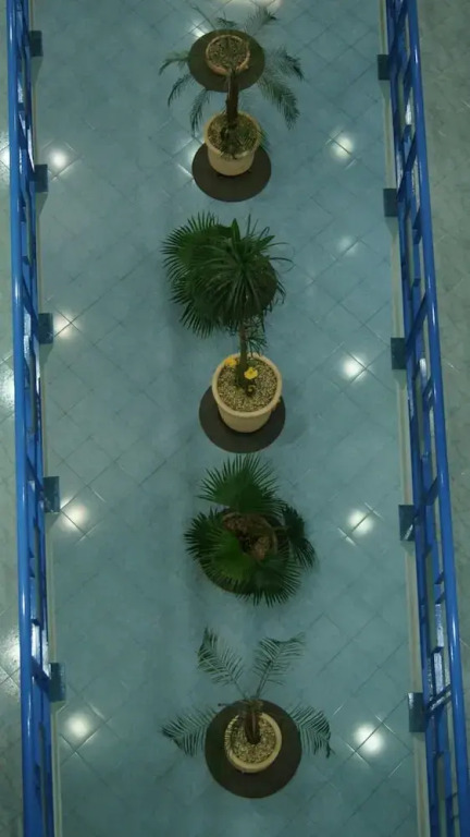 Hotel Muy Cdmx, Love Hotel