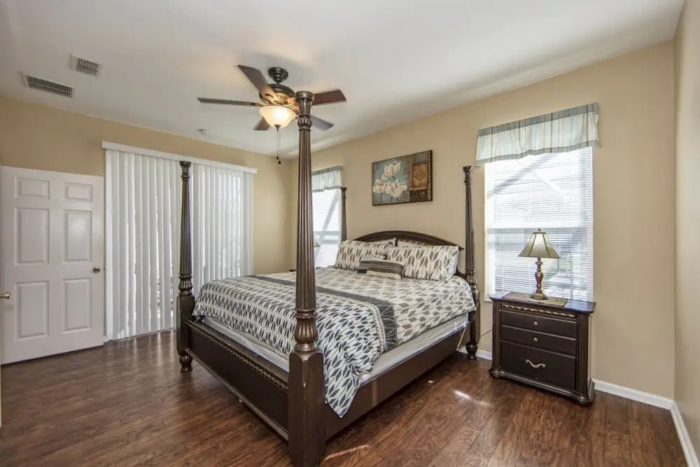 Windsor_palms_8169n