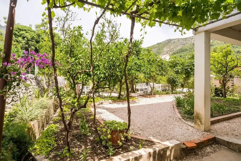 Apartments Davor
