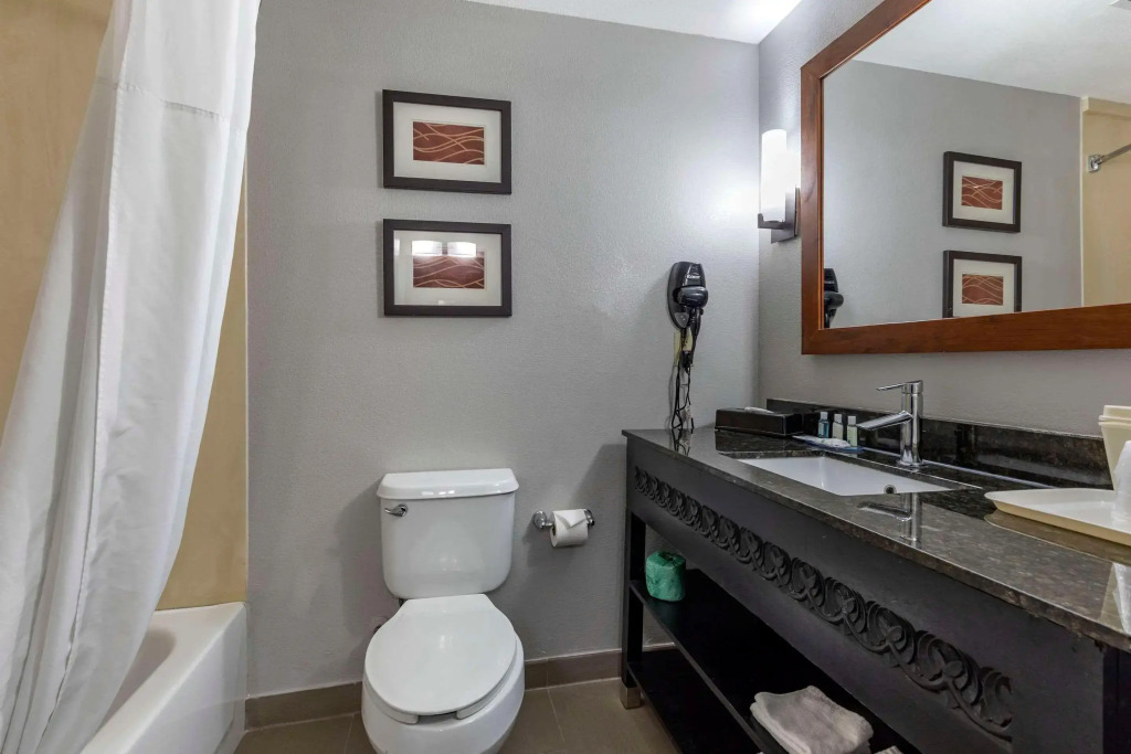 Quality Inn & Suites I-35 E-Walnut Hill
