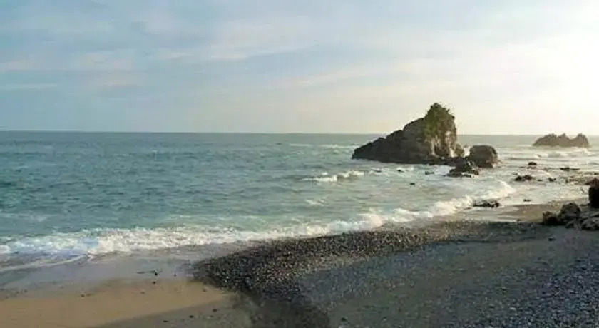 Condo In Manzanillo