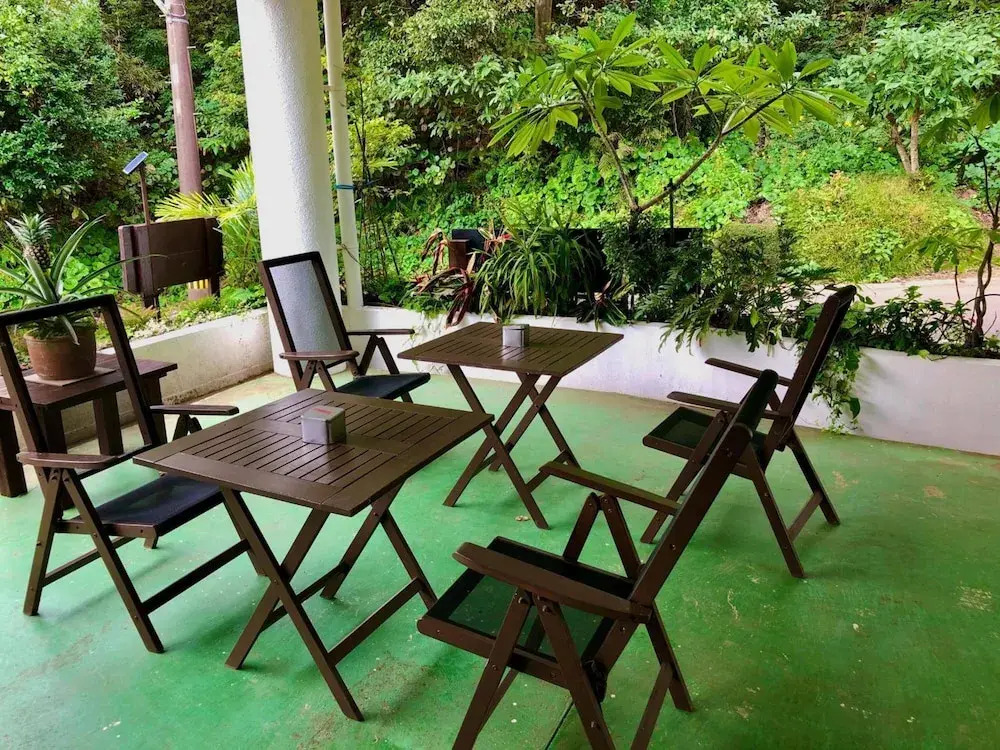 The Little Garden