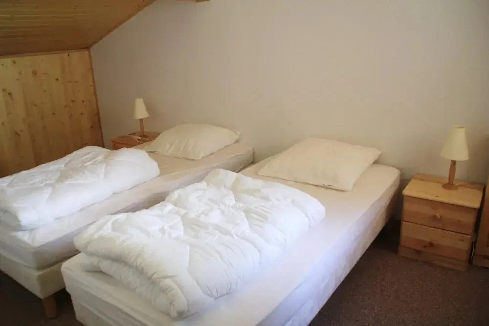 Apartment Near Portes du Soleil ski Area