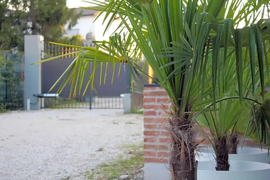 Nuovo B&B WhyNot? a Vicenza