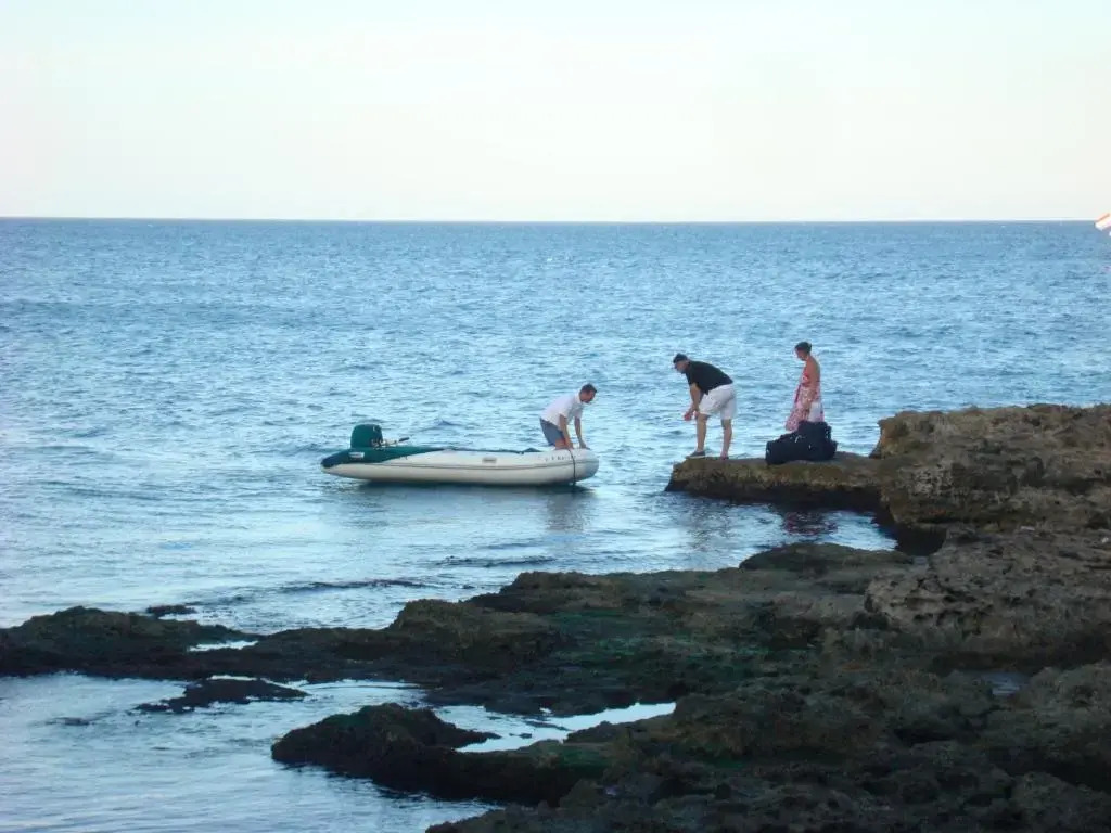 Giuggiulena