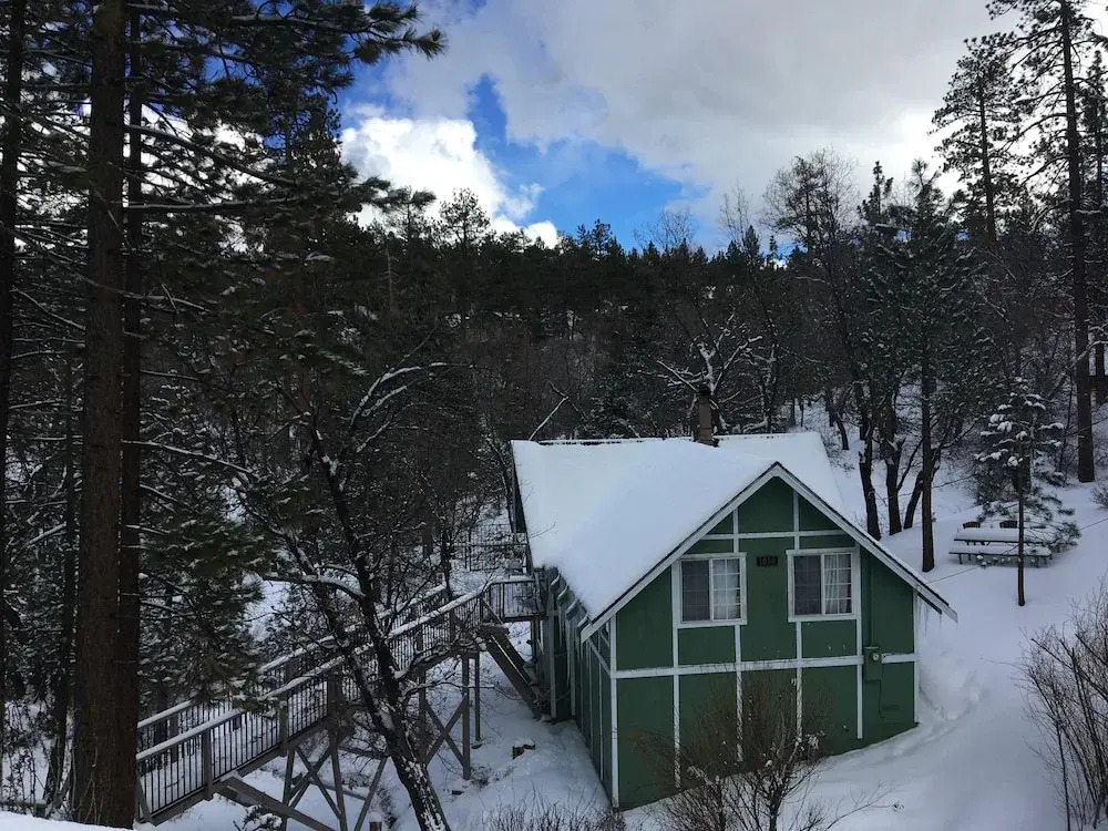 Forest Glen