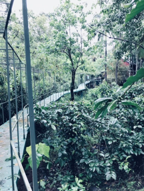 Riverwood Resort