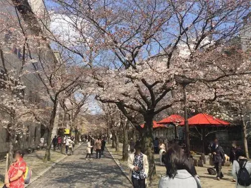 Kyomaru