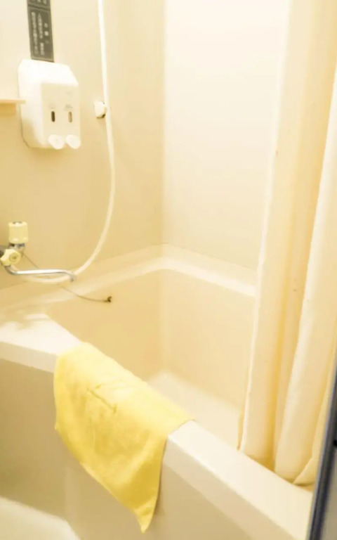 Hikone Station Hotel