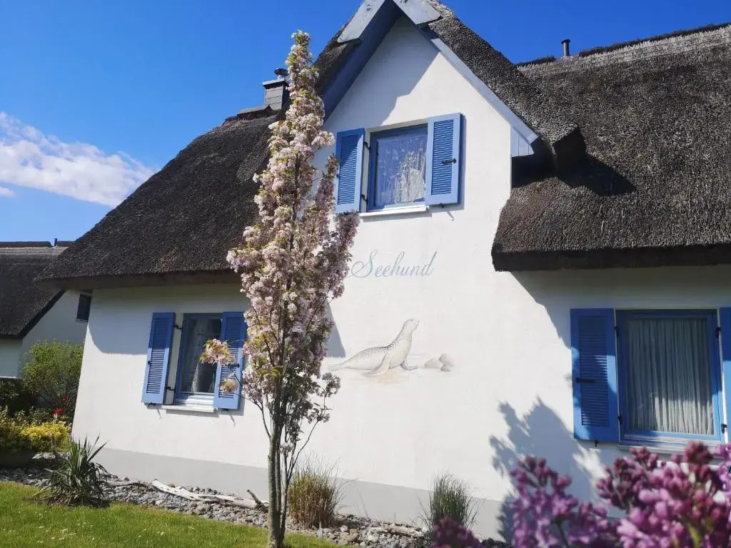 Ferienhaus-Seehund