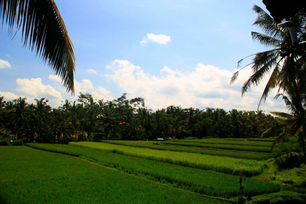 Junjungan Ubud Hotel and Spa