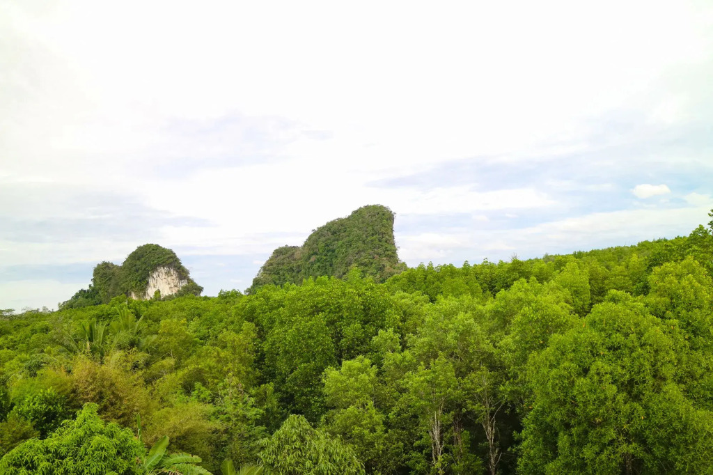 The Kim Krabi Hotel