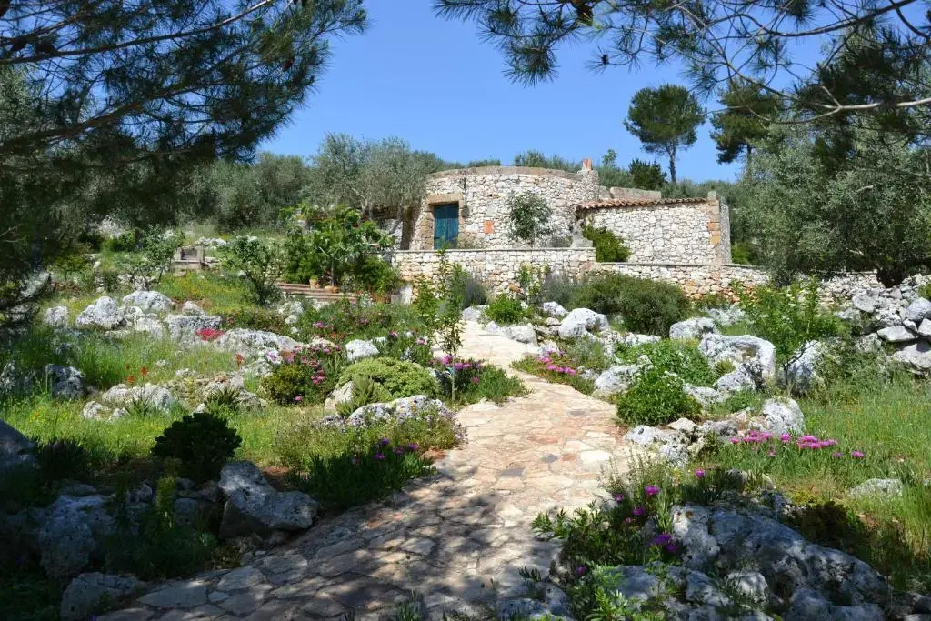 Pajara Rugiada