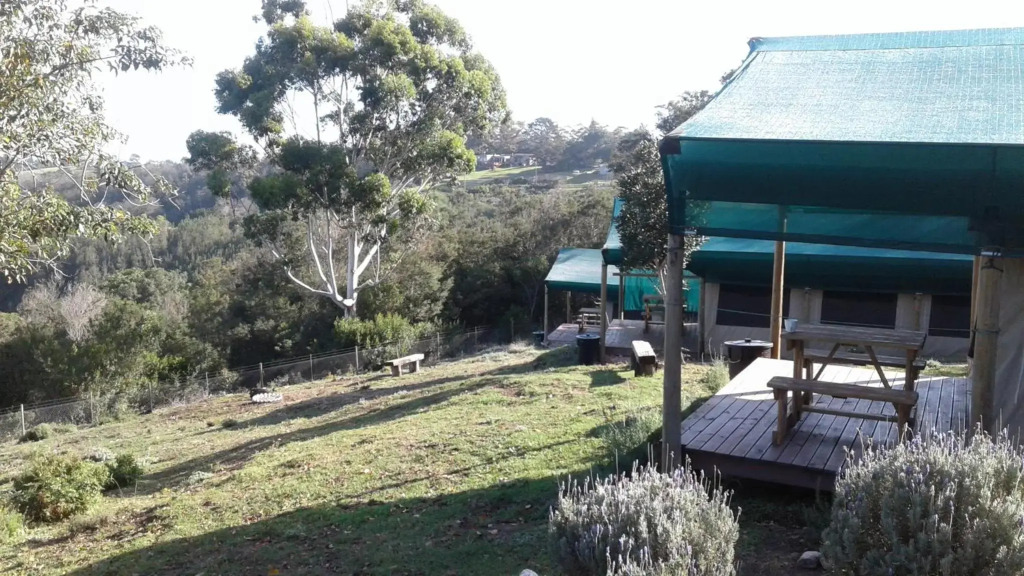 Trees&Seas tented camp