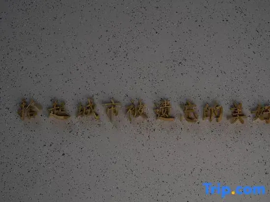 Xiao · ISVARA Designer Hotel (Huaihe Road Pedestrian Street)