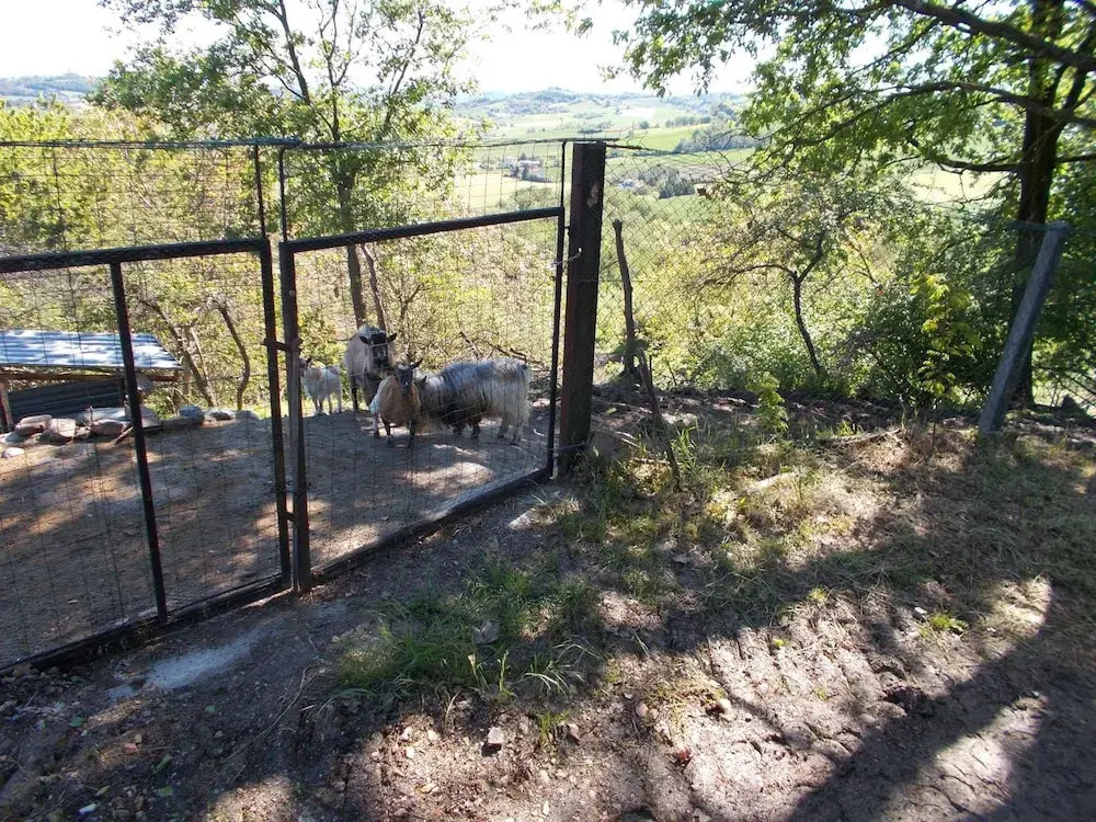 Circolo Ippico Parco dello Stirone