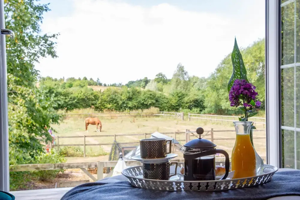 Cherry Orchard Farm