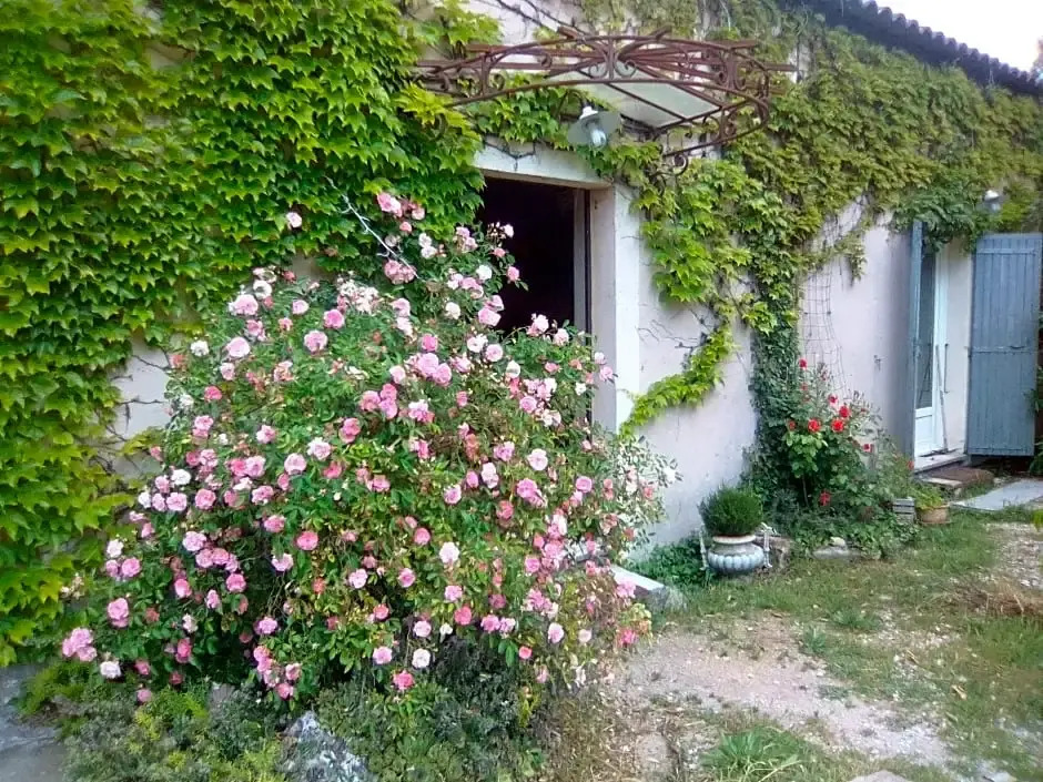 Le Domaine de Belle (Adults Only)