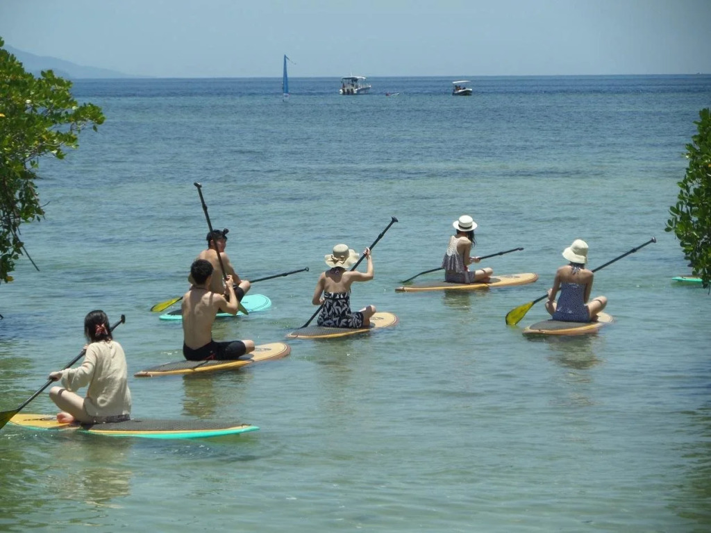 Mangrove Paradise Retreat