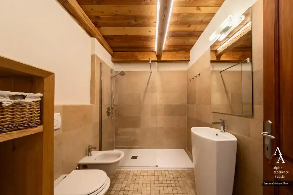 Alp Apartments - Tourneuve5